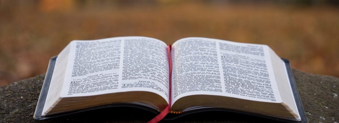 bible page on gray concrete surface